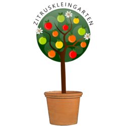 Zitruskleingarten